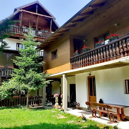 Pensiunea Perla Maramuresului Borşa 外观 照片