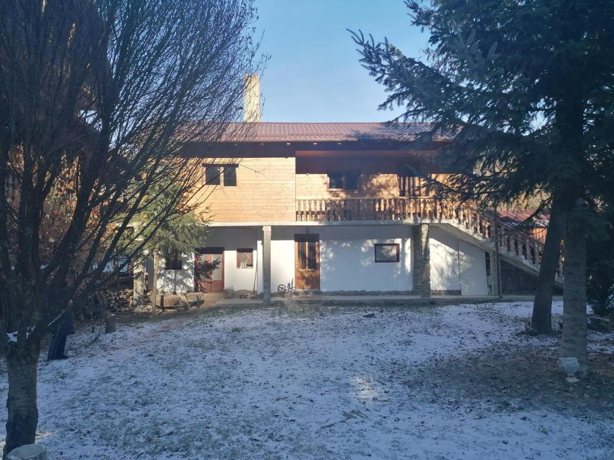 Pensiunea Perla Maramuresului Borşa 外观 照片