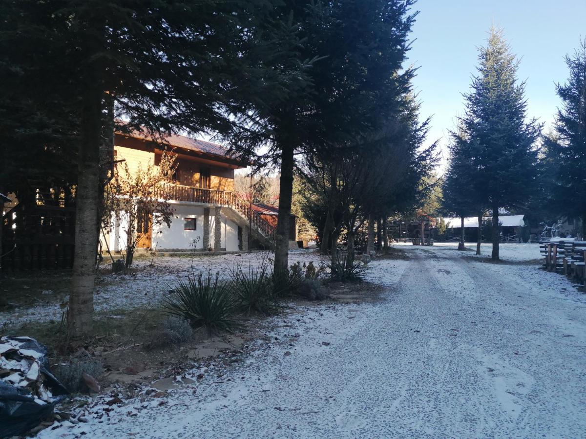 Pensiunea Perla Maramuresului Borşa 外观 照片