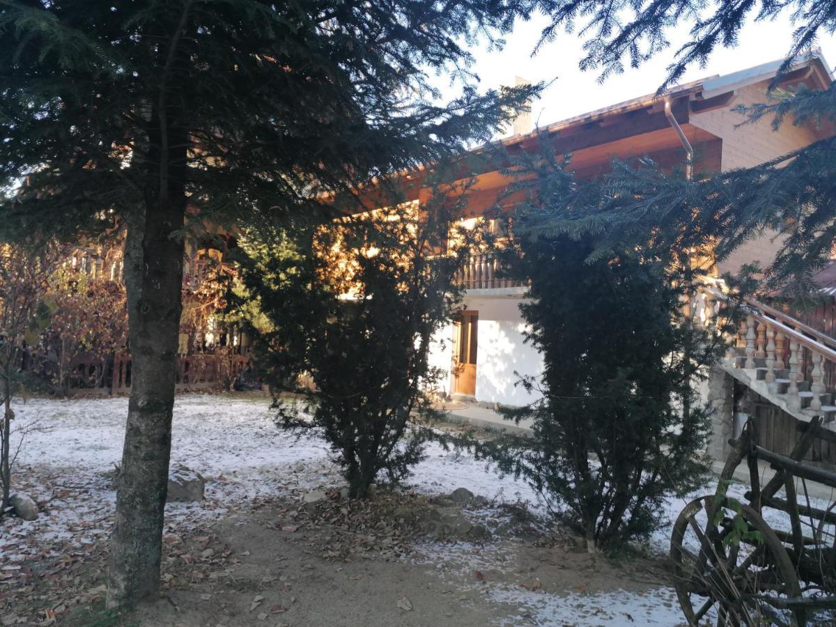 Pensiunea Perla Maramuresului Borşa 外观 照片