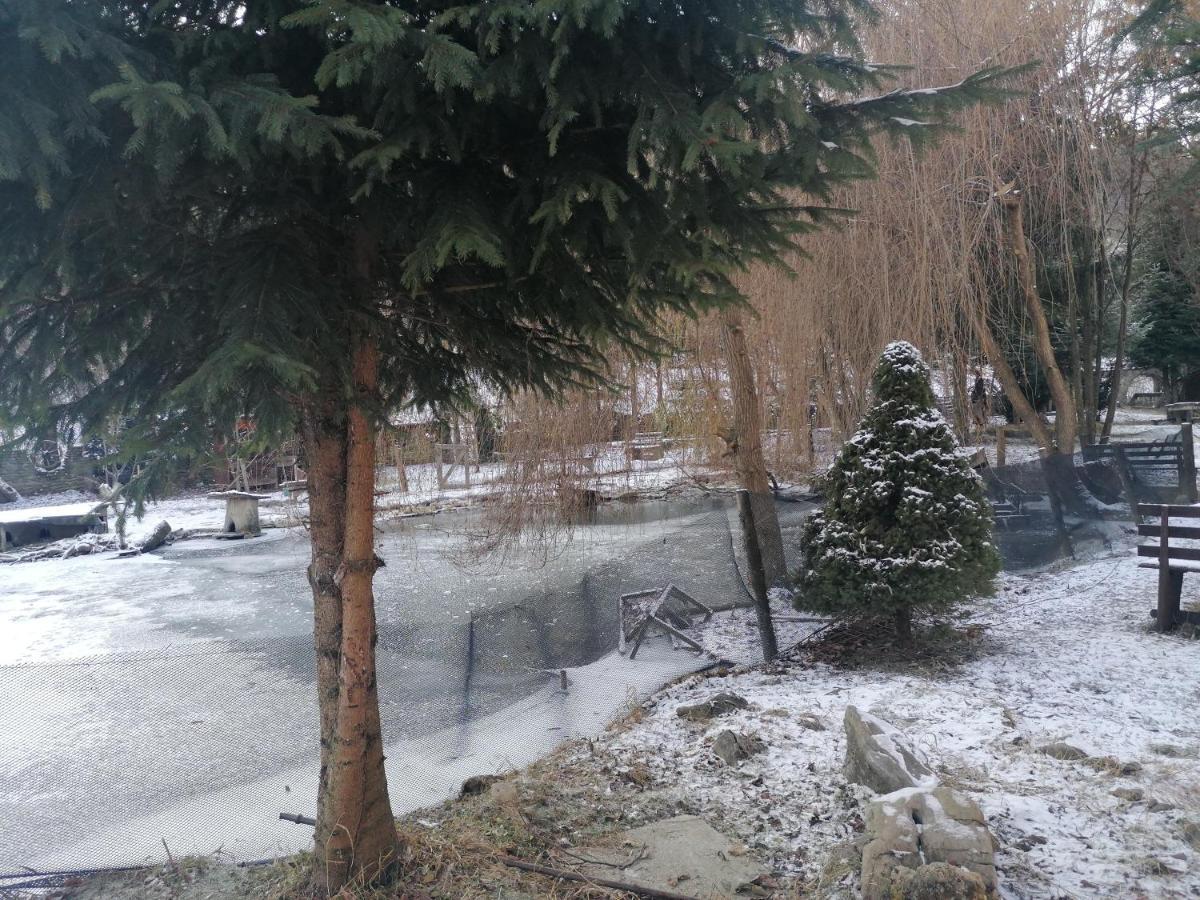 Pensiunea Perla Maramuresului Borşa 外观 照片