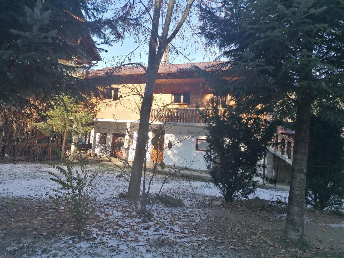 Pensiunea Perla Maramuresului Borşa 外观 照片