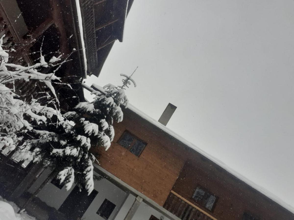 Pensiunea Perla Maramuresului Borşa 外观 照片
