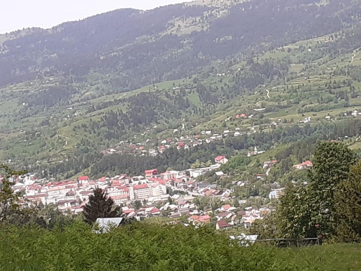 Pensiunea Perla Maramuresului Borşa 外观 照片