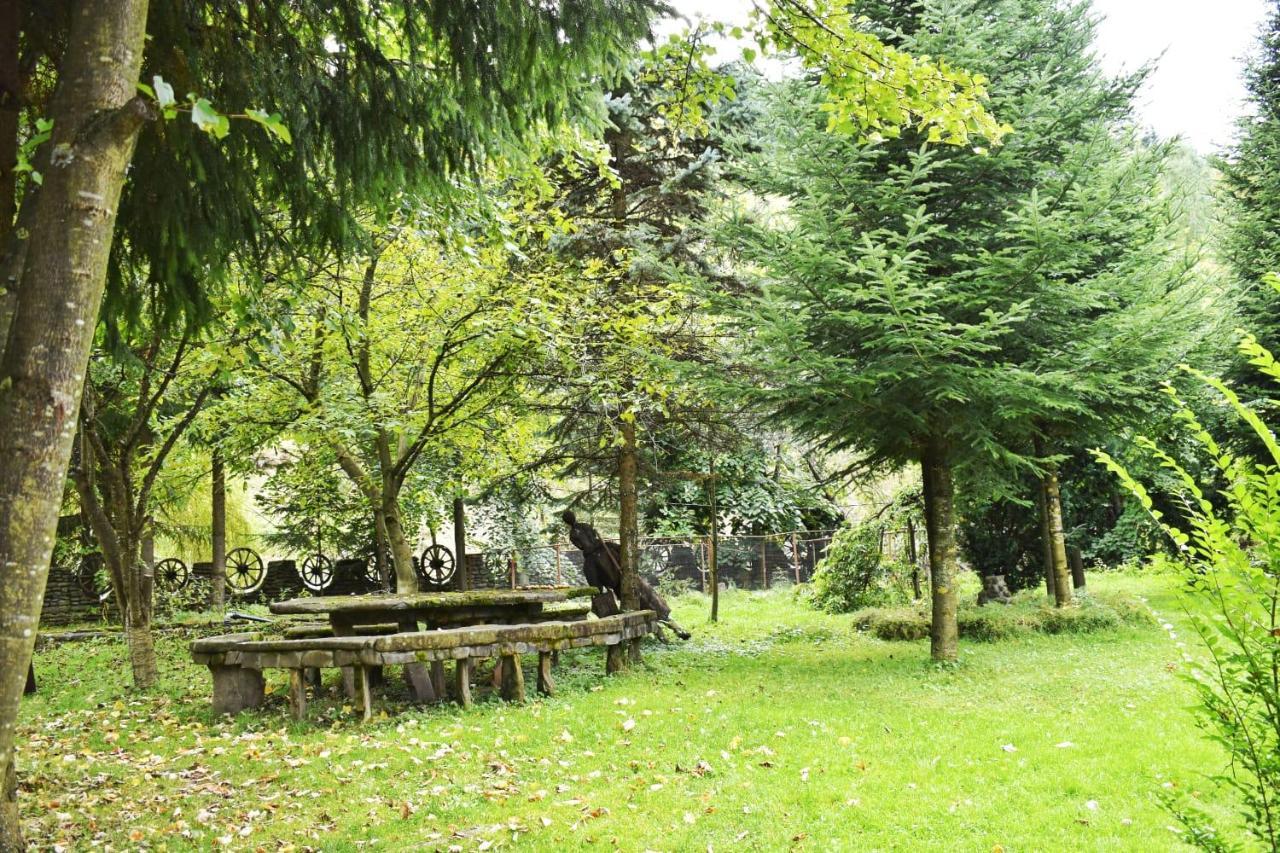 Pensiunea Perla Maramuresului Borşa 外观 照片