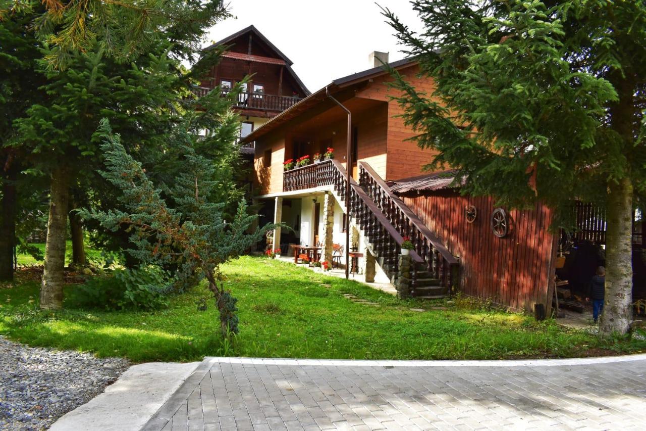 Pensiunea Perla Maramuresului Borşa 外观 照片