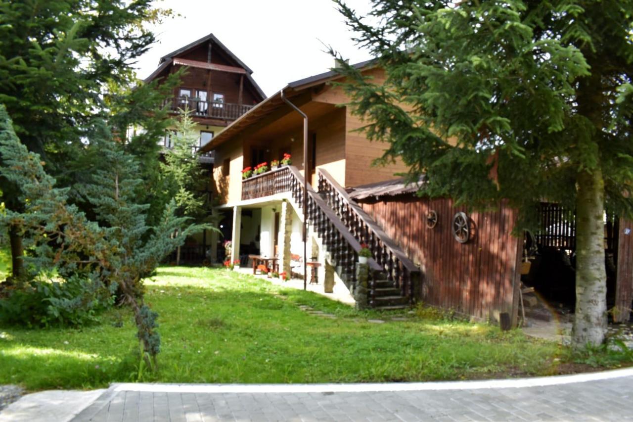Pensiunea Perla Maramuresului Borşa 外观 照片