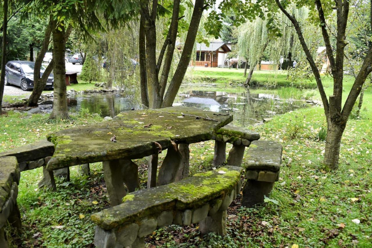 Pensiunea Perla Maramuresului Borşa 外观 照片